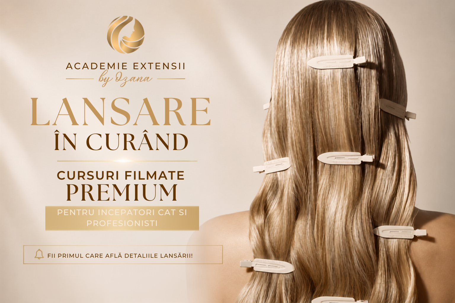 Cursuri Online – În Curând