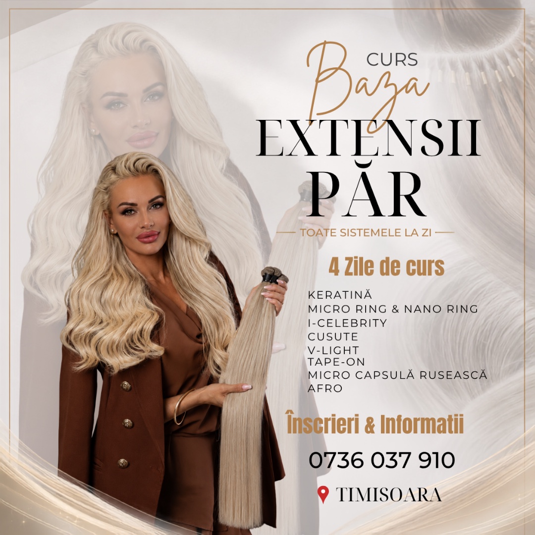 Curs Extensii Bază